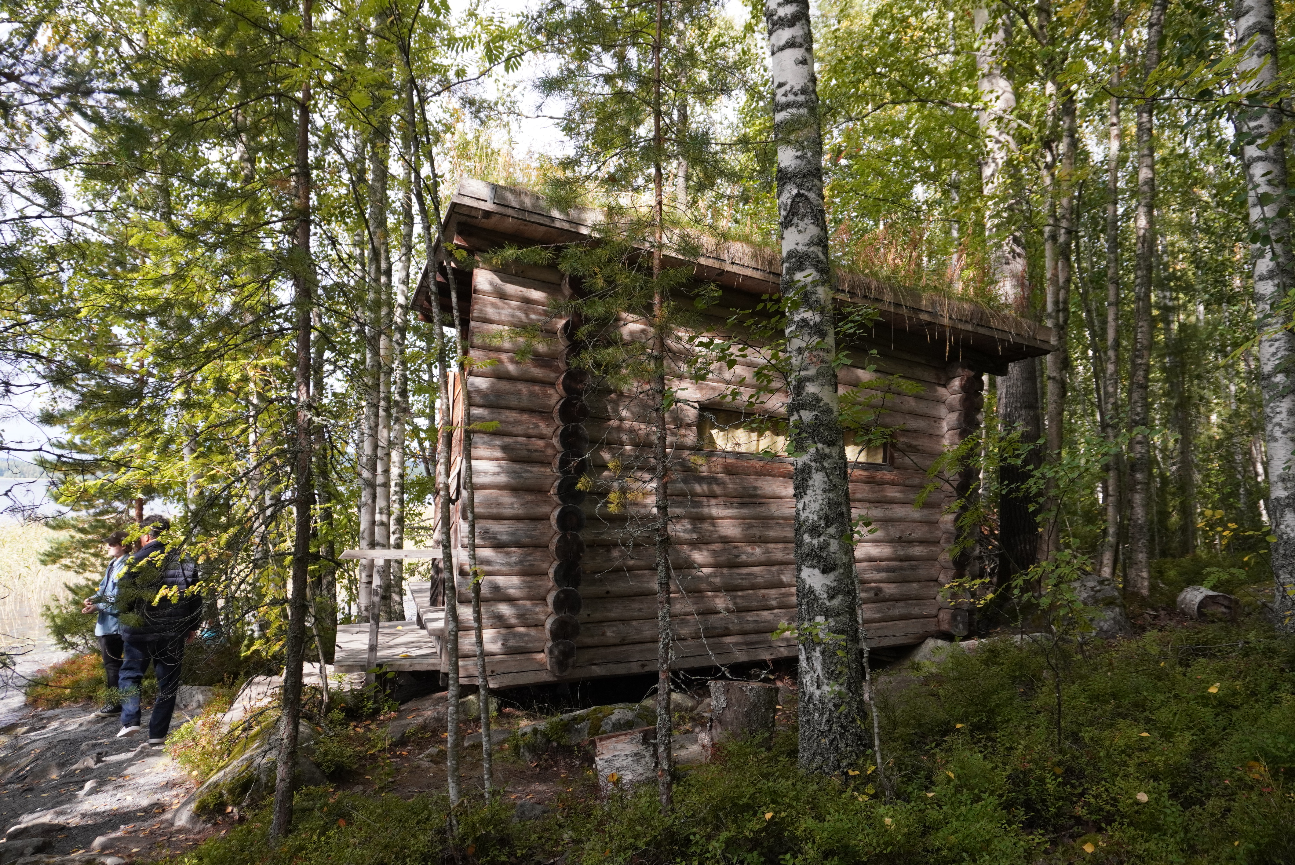 コエタロ サウナ屋根構造