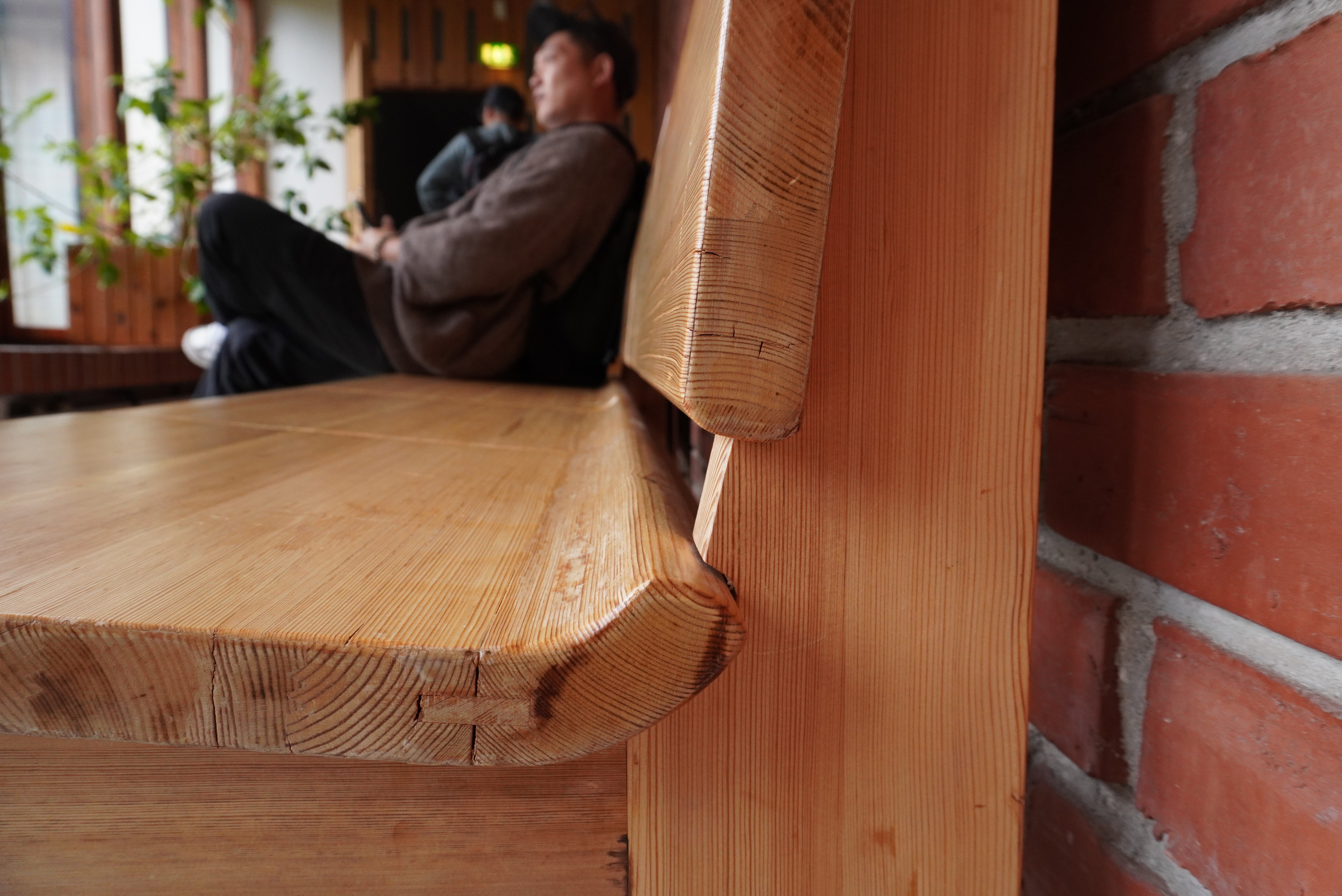 サウナッツァロ村役場 マツ材ベンチ2